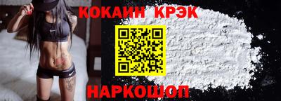гашик Кингисепп
