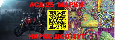 кокс Кимры