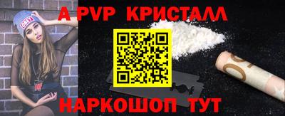 гашик Кингисепп