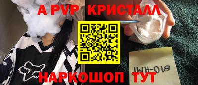 гашик Кингисепп