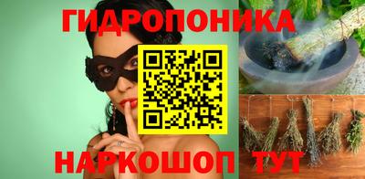 гашик Кингисепп