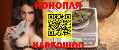 гашик Кингисепп