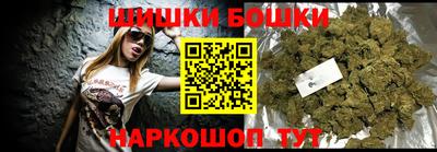 гашик Кингисепп