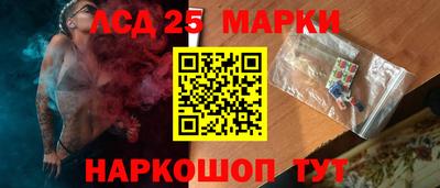 гашик Кингисепп