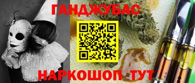 гашик Кингисепп