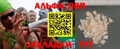 гашик Кингисепп