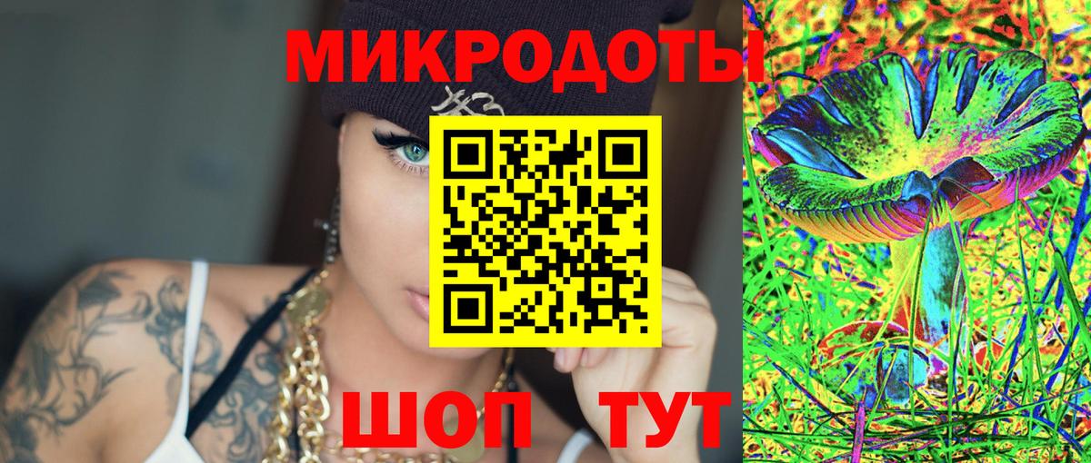 Псилоцибиновые грибы Psilocybe Усинск